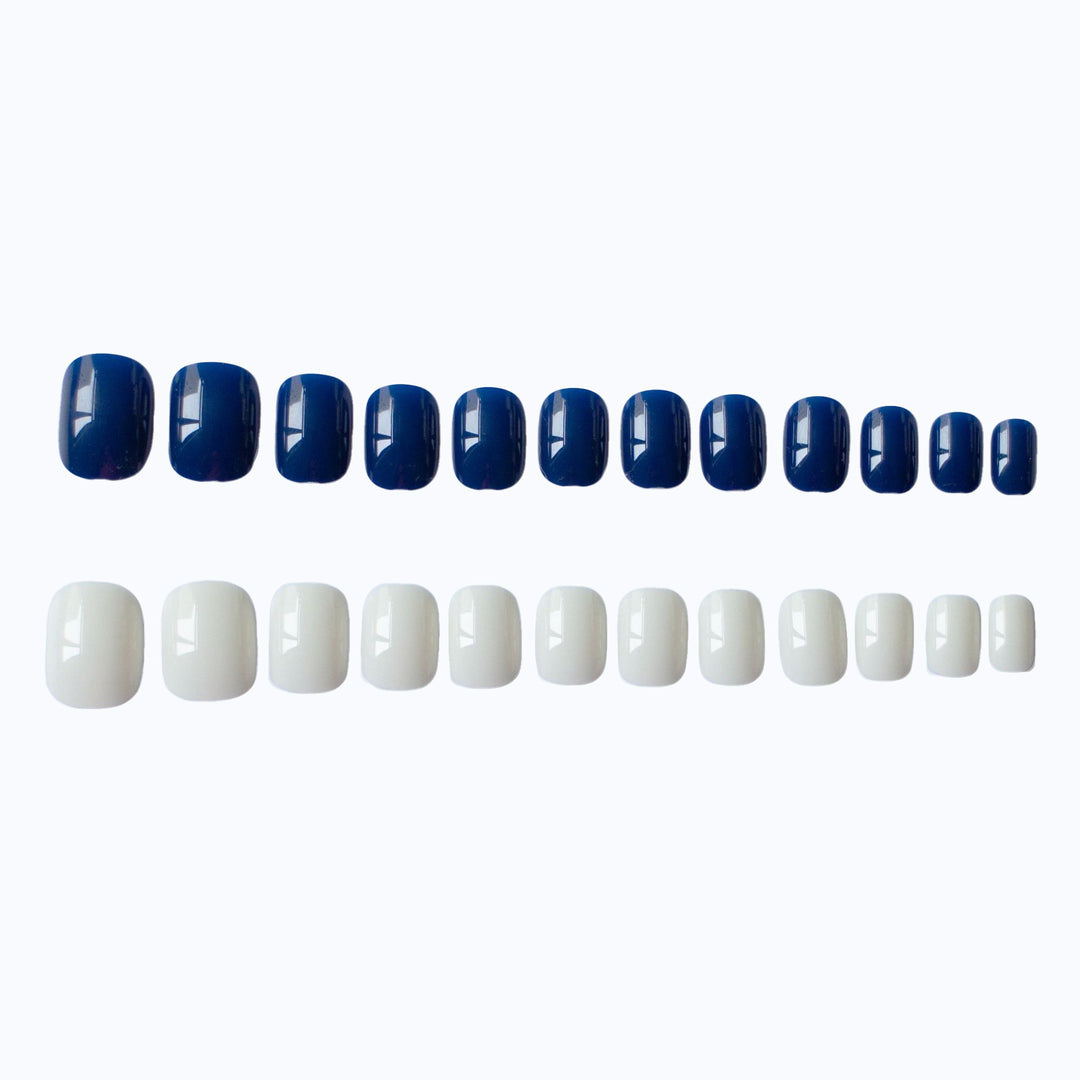 Elegant Dual Color Nail Art Set