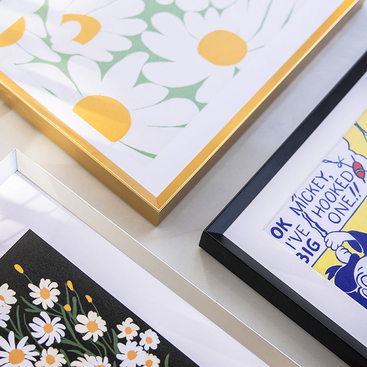 Premium Decorative Framed Art Holder