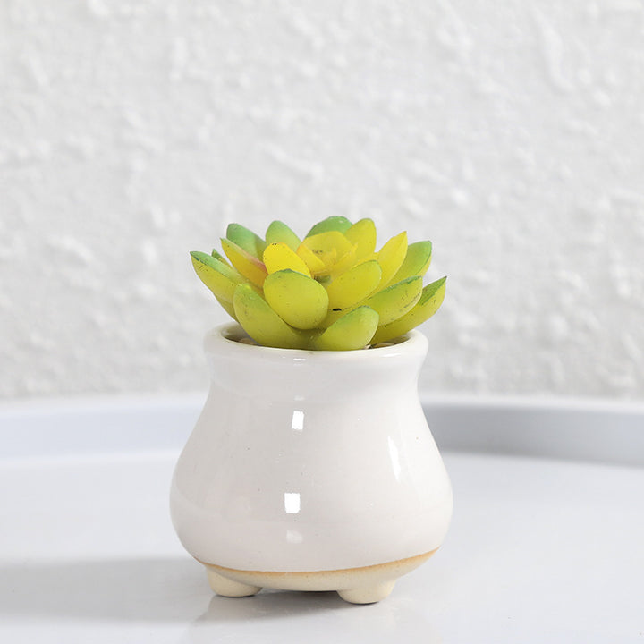Miniature Decorative Flower Pot Kalsten
