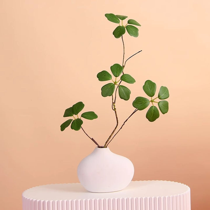 Minimalist Decorative Plant Arrangement