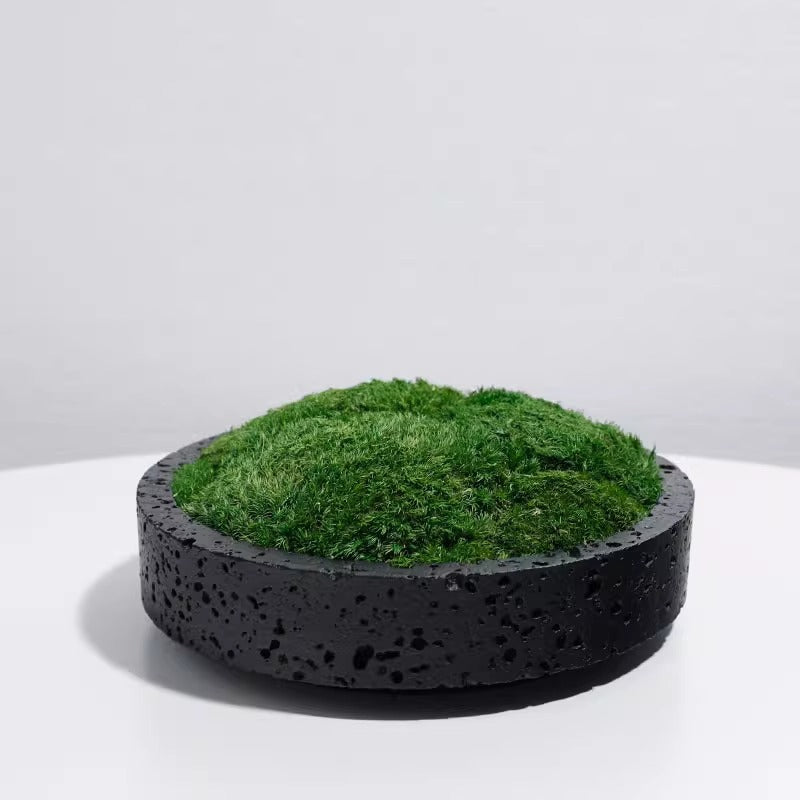 Decorative Garden Planter
