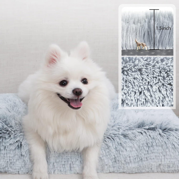 Pet Bed Kalsten