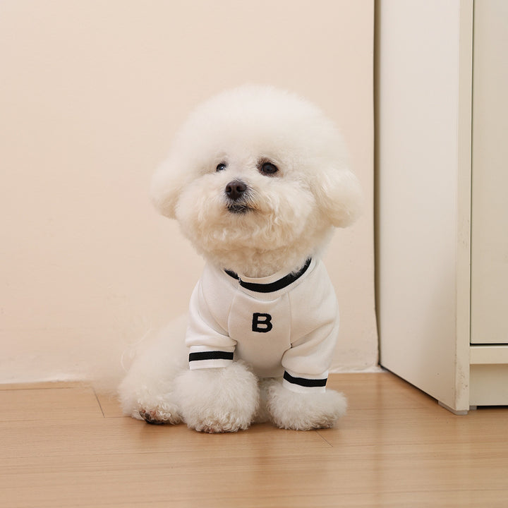Pet Knit Polo Sweater with Ribbed Collar and Embroidered Chest