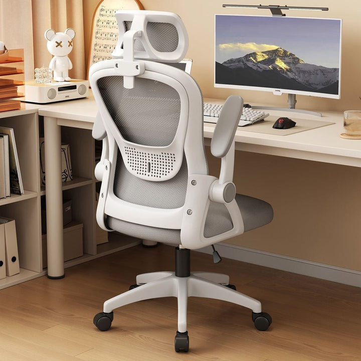 Ergonomic Office Chair Kalsten