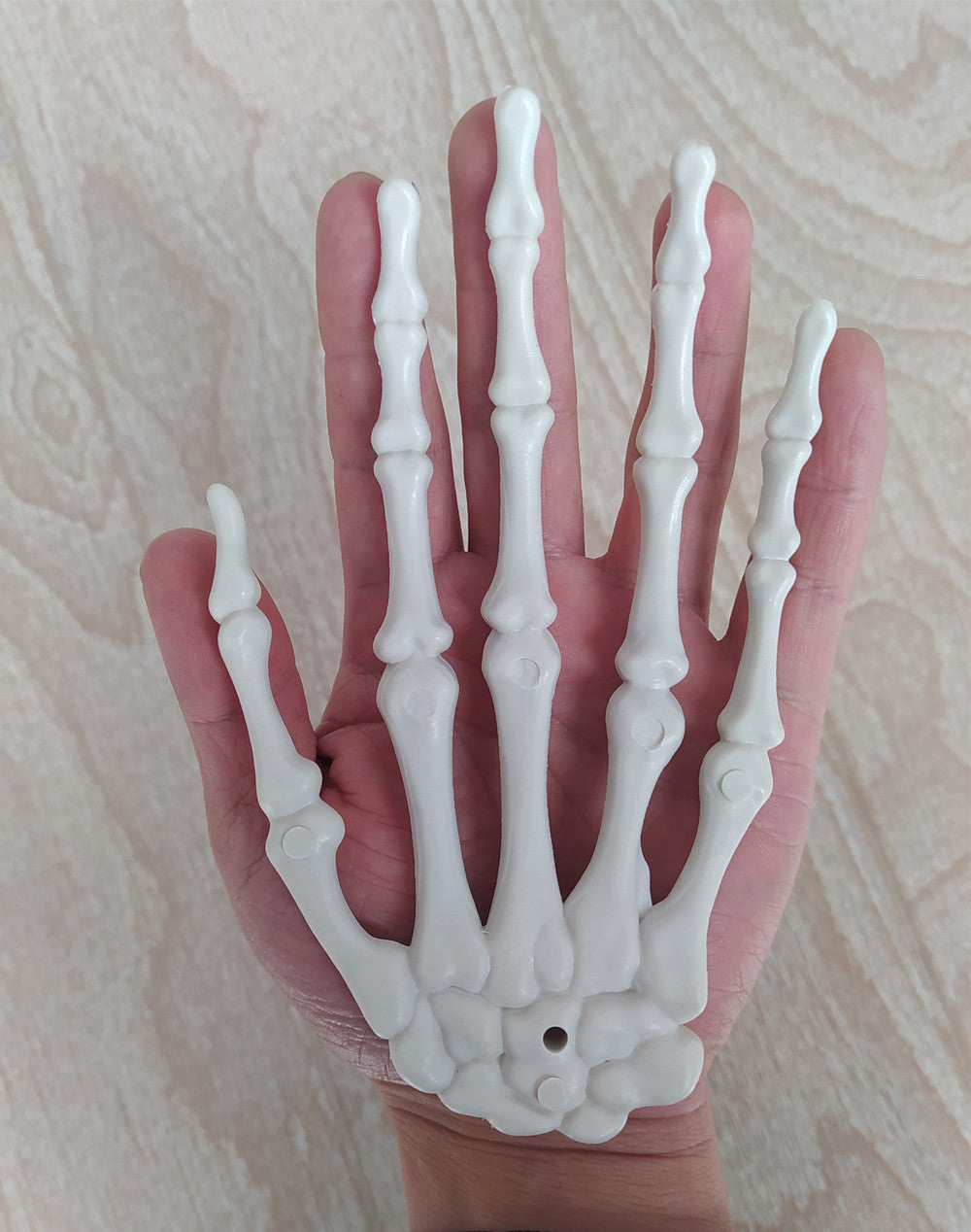 Anatomical Hand Skeleton Model Kalsten