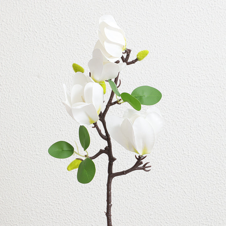 Decoration item Magnolia branch