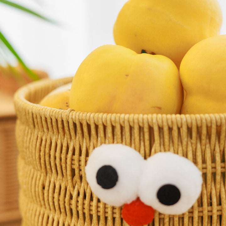Fun Animal-Themed Storage Basket Kalsten