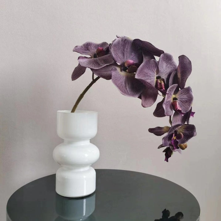 Elegant Orchid Stem