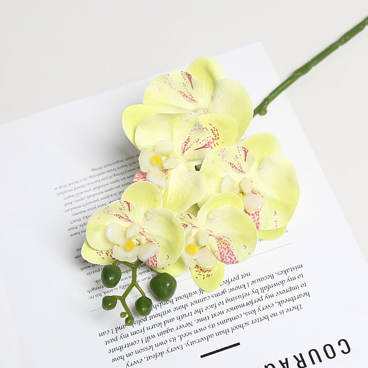 Realistic Orchid Floral Stem