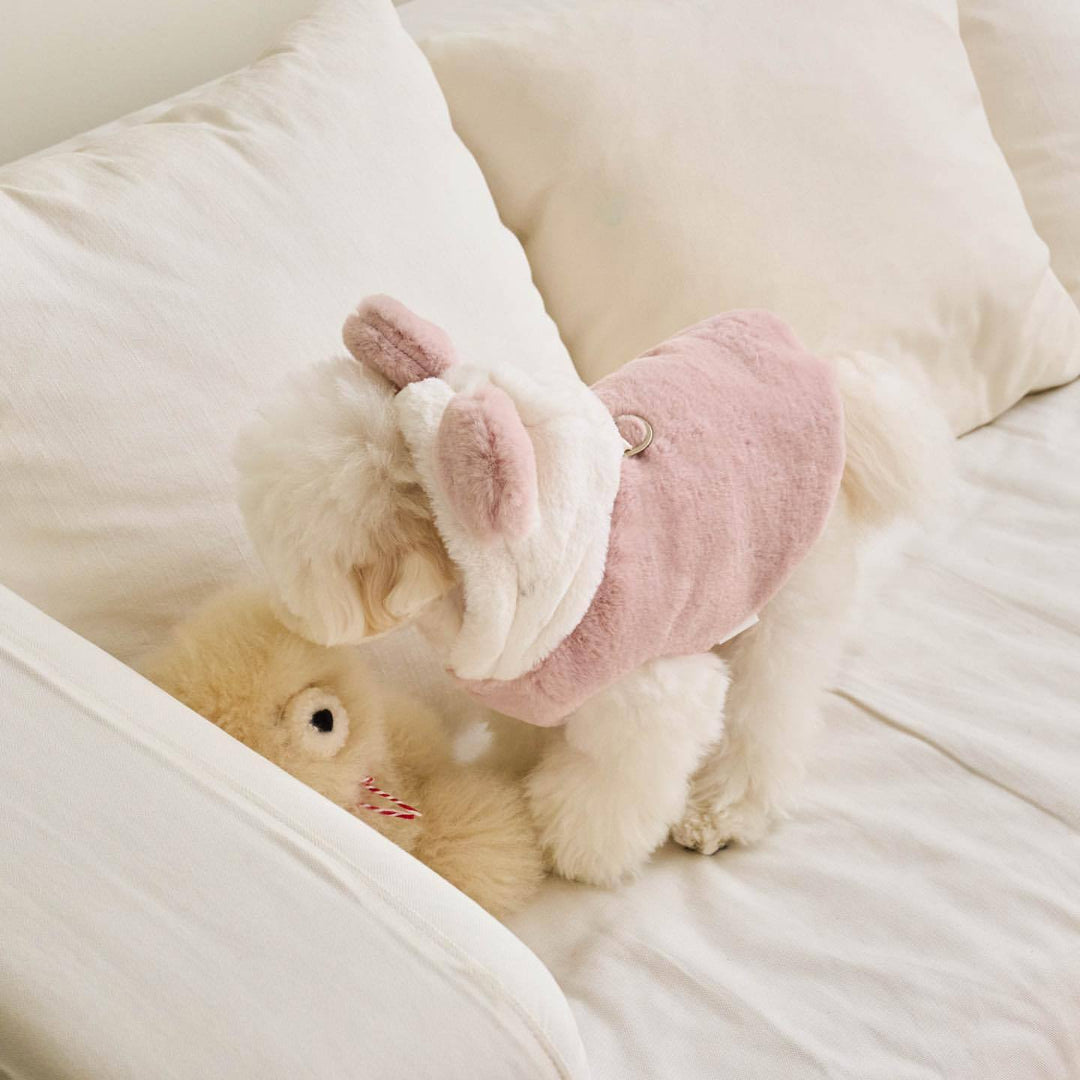 Plush Hooded Dog Jacket with Decorative Ears and Back D-Ring