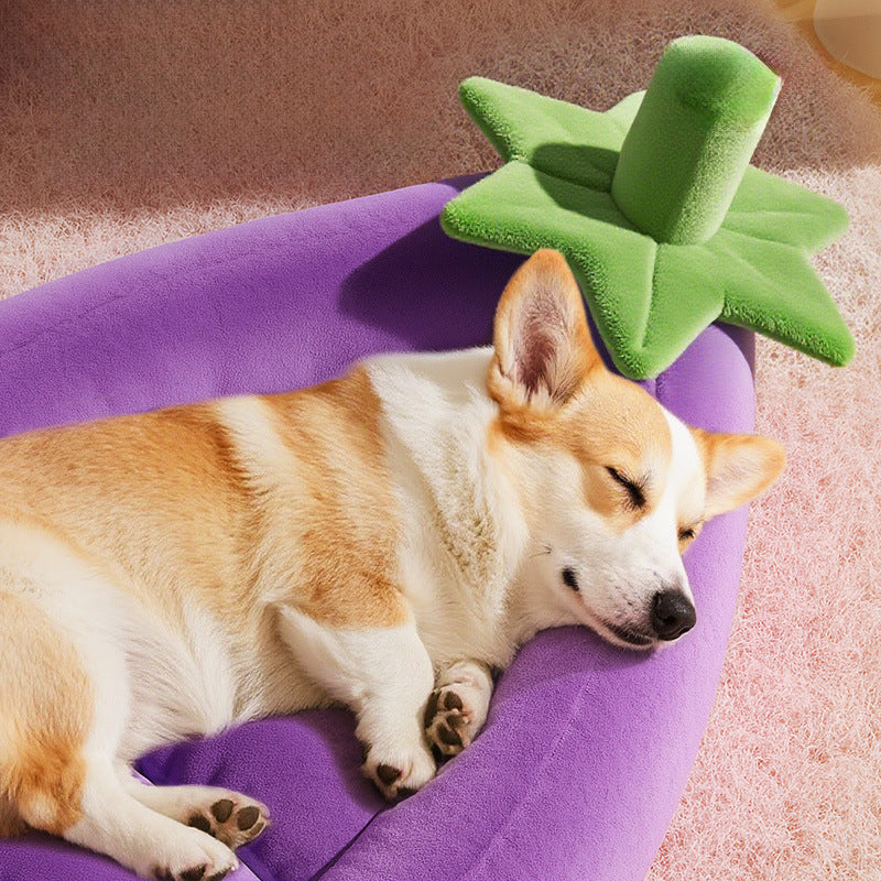 Fun-Shaped Dog Bed