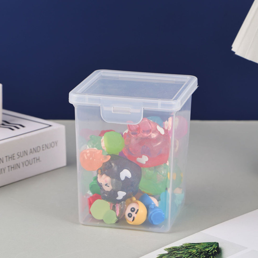 Multi-Purpose Clear Storage Container Kalsten