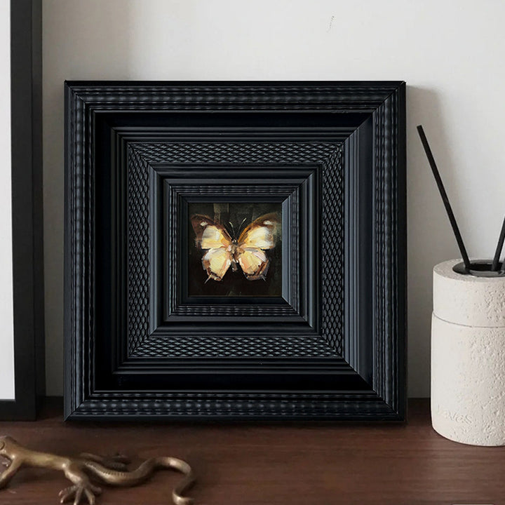 Insect Art Display in Frames