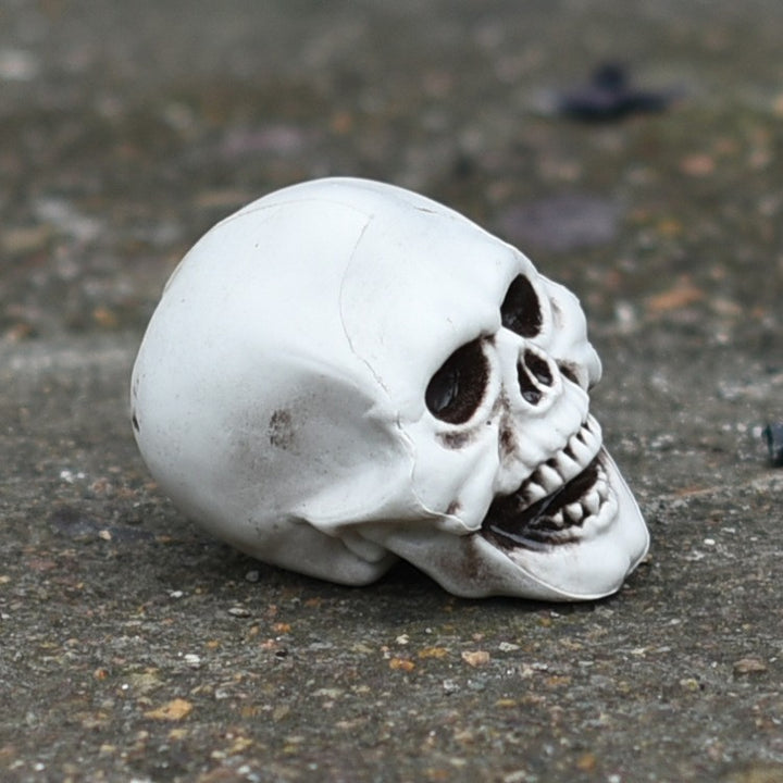 Decorative Skull Phone Holder Kalsten