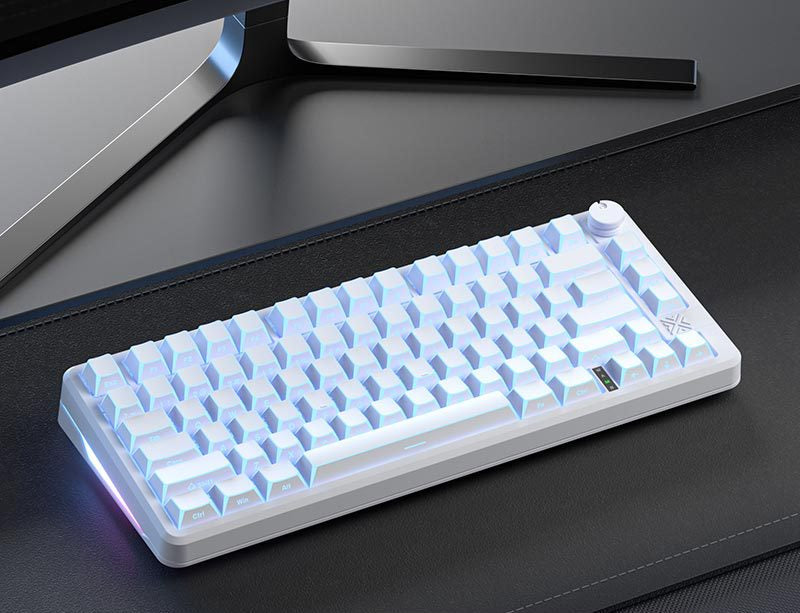 Wireless Gaming Mechanical Keyboard Kalsten