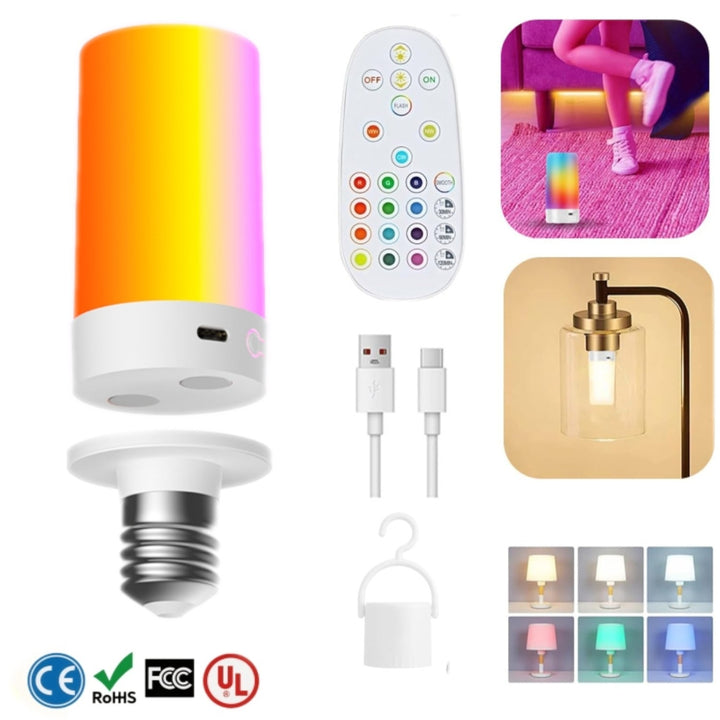 LED Projection Light Fixture