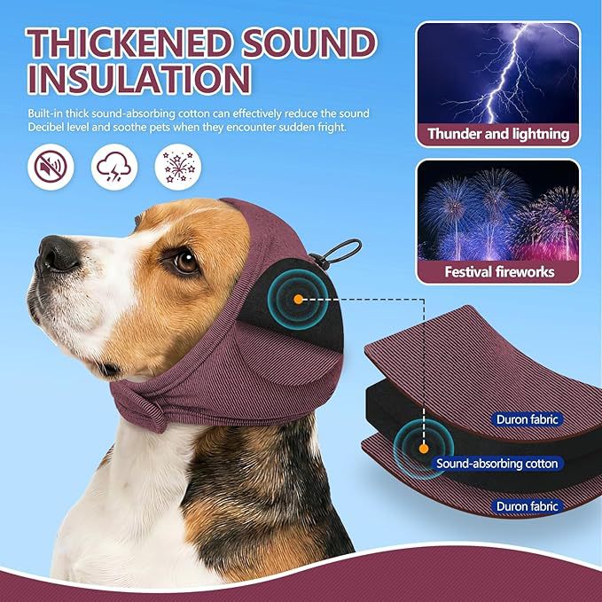 Dog head protection Kalsten