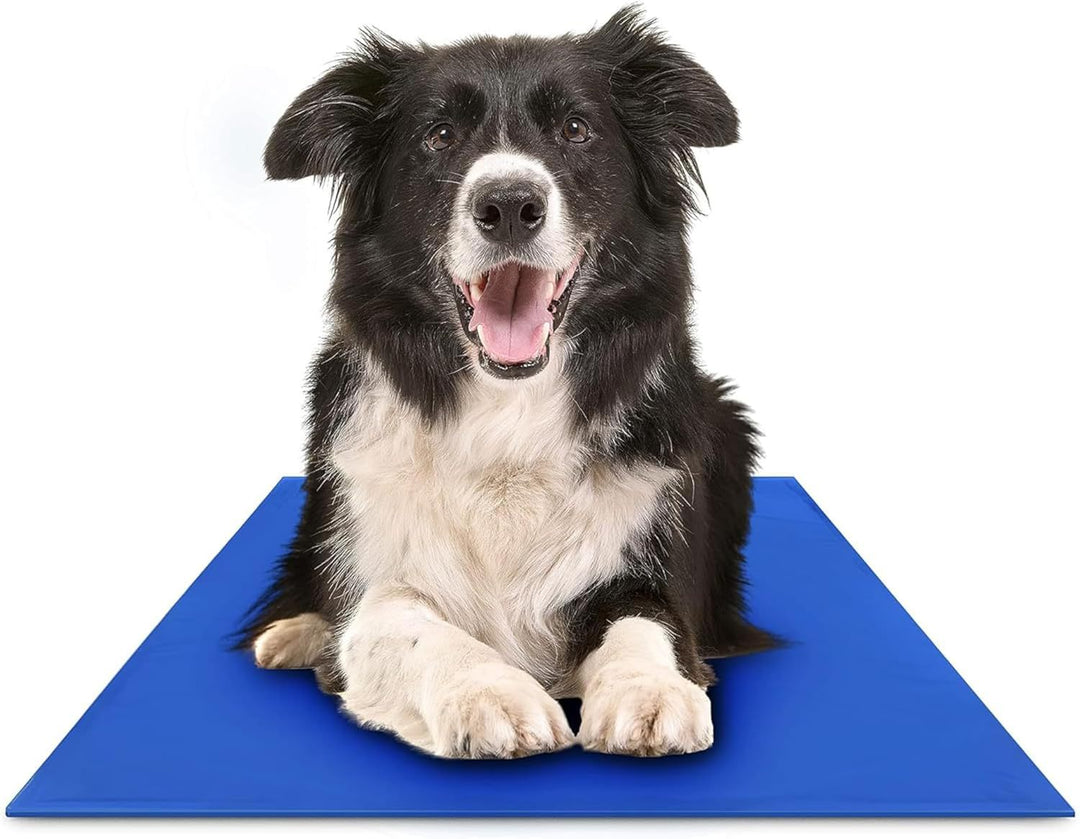 Cooling Dog Mat Kalsten