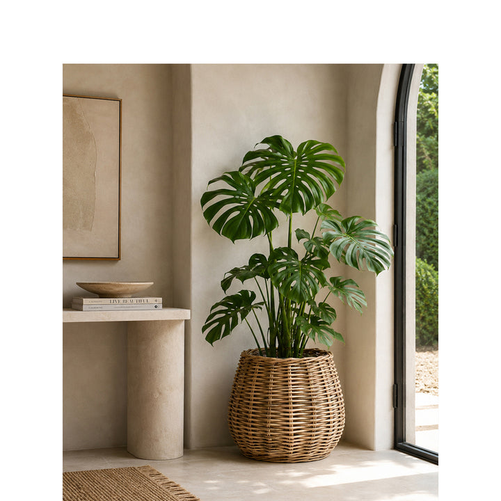 Decorative Laundry Basket Kalsten