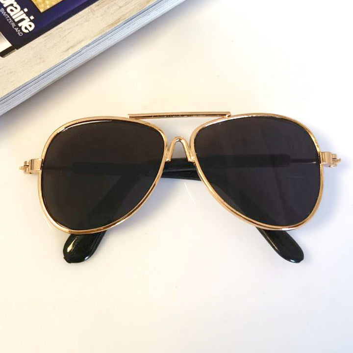 Women's trendy sunglasses Kalsten