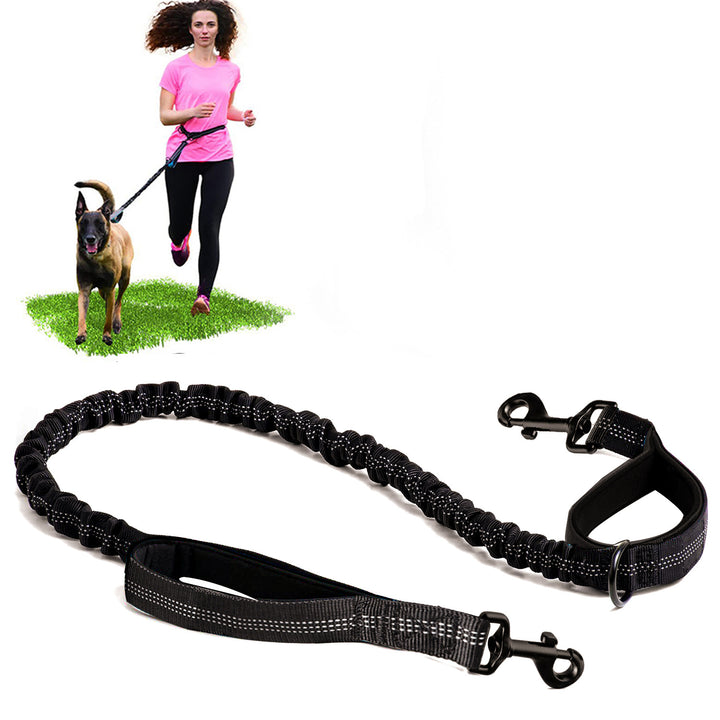 Bungee Dog Running Leash
