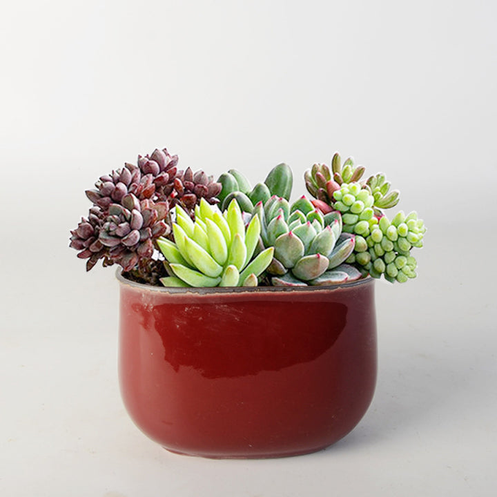 Flower pot Kalsten
