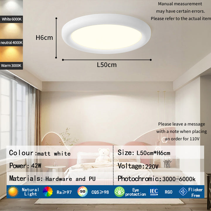 Contemporary Round Ceiling Light