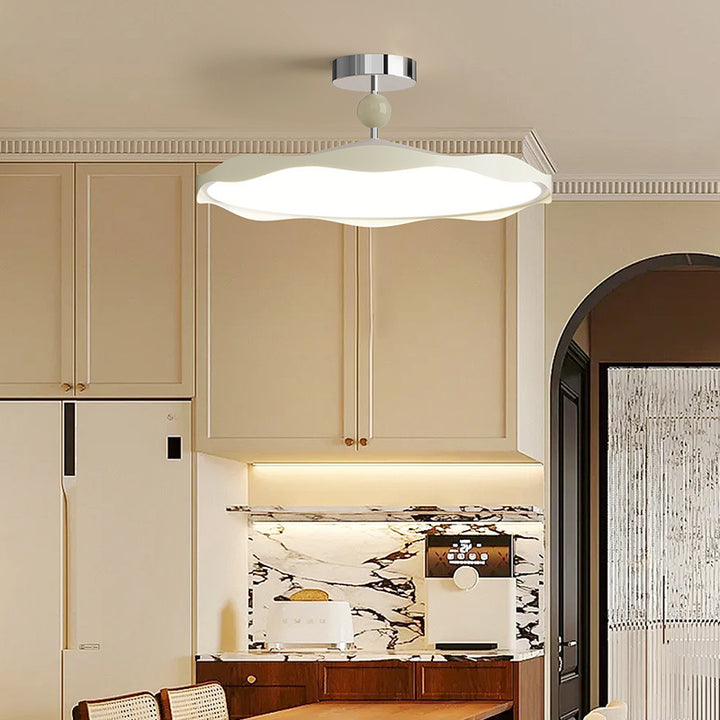 Contemporary Ceiling Light Fixture