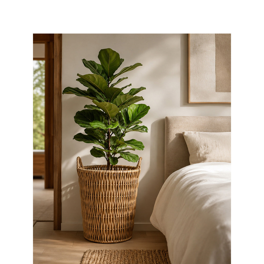 Storage basket Kalsten