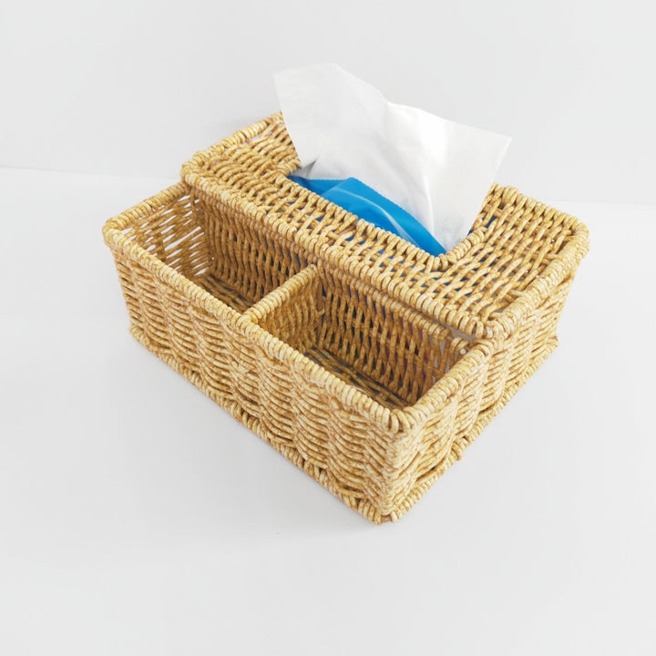 Multi-Compartment Woven Storage Organizer Kalsten
