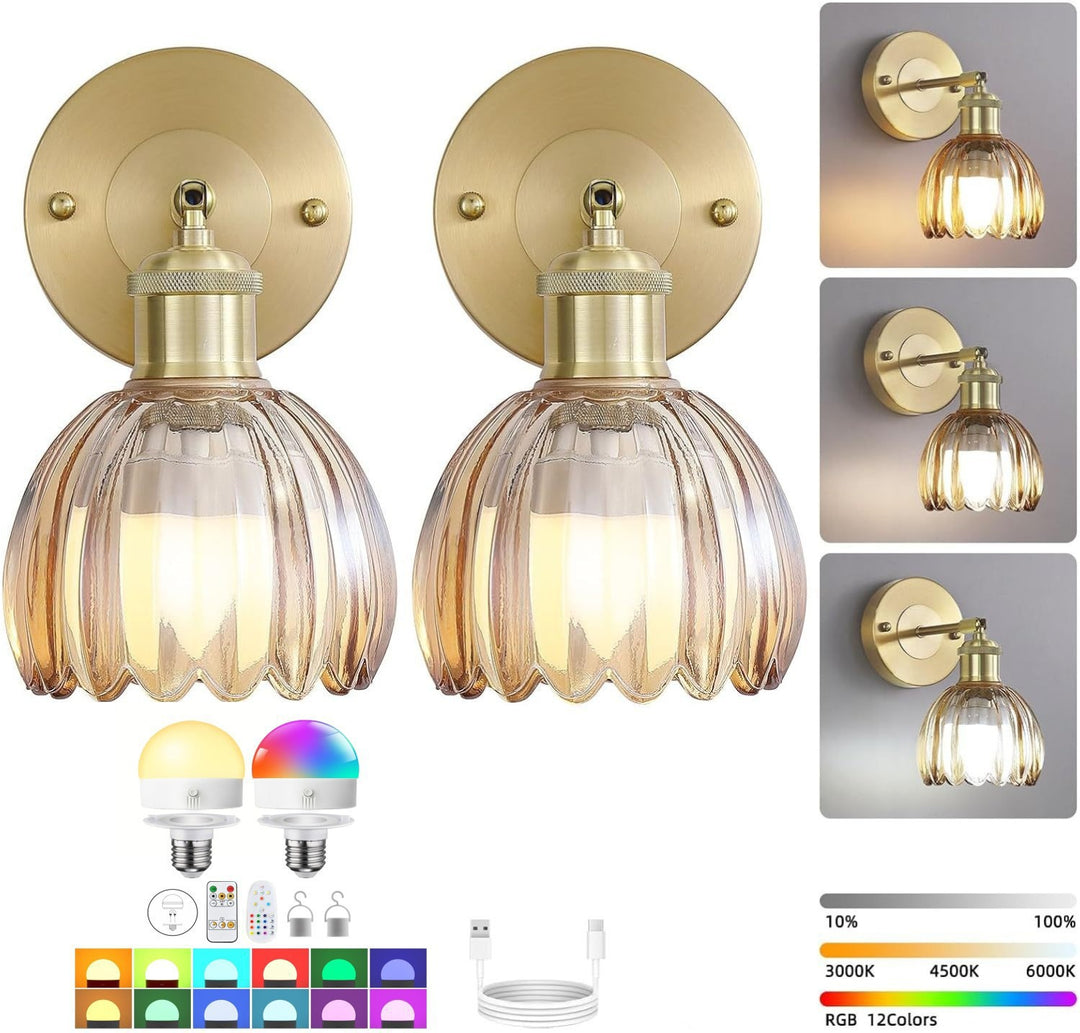 Elegant Glass Wall Sconce