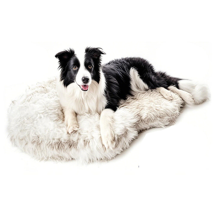 Fluffy Orthopedic Dog Bed