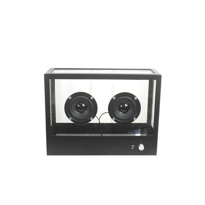Audio Display Speaker Box