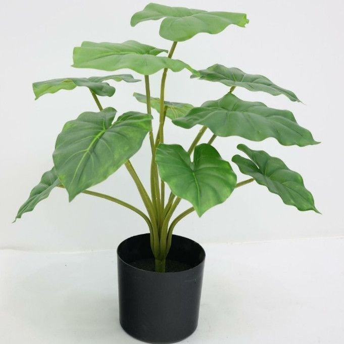 Lifelike Decorative Indoor Plant