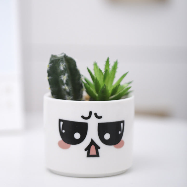 Cute Animal-Themed Succulent Planter Kalsten