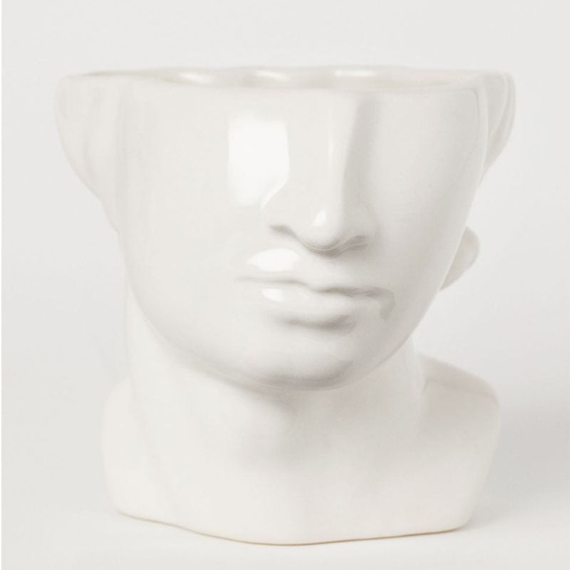Artistic Face Planter