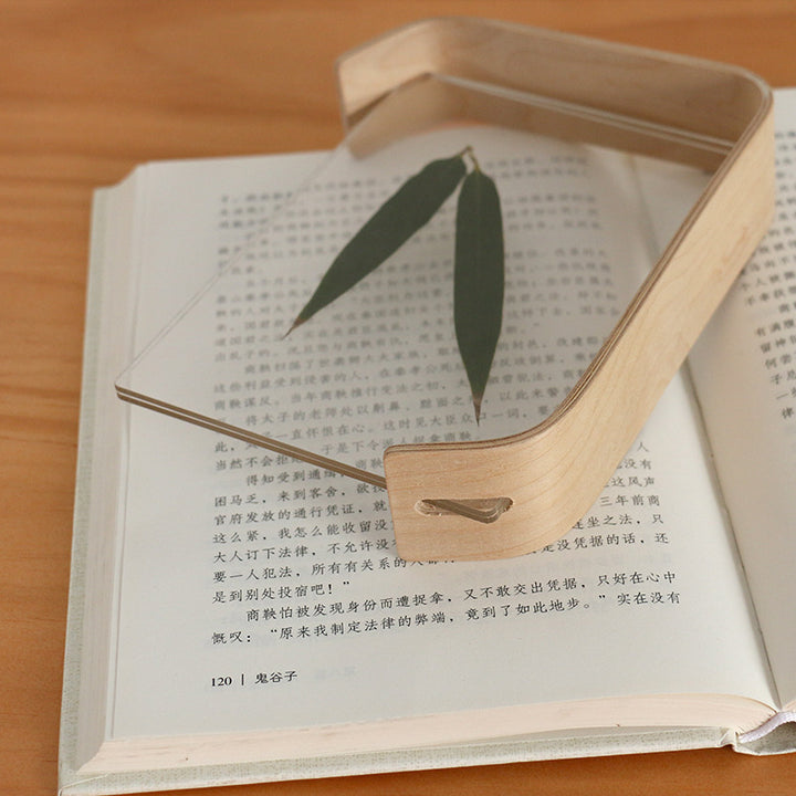 Artistic Photo Display Stand