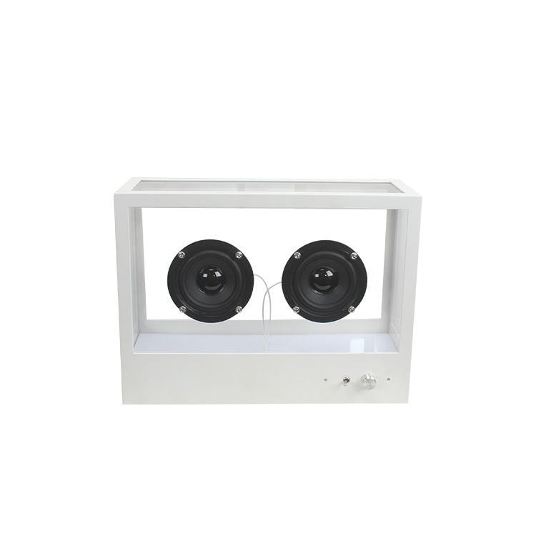 Audio Display Speaker Box