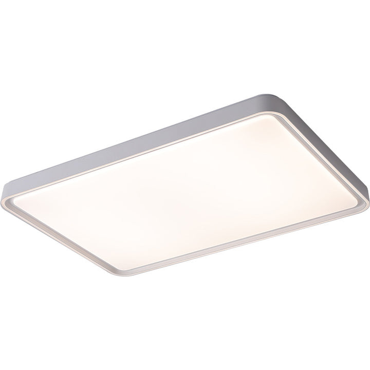 Contemporary Flush Mount Ceiling Light