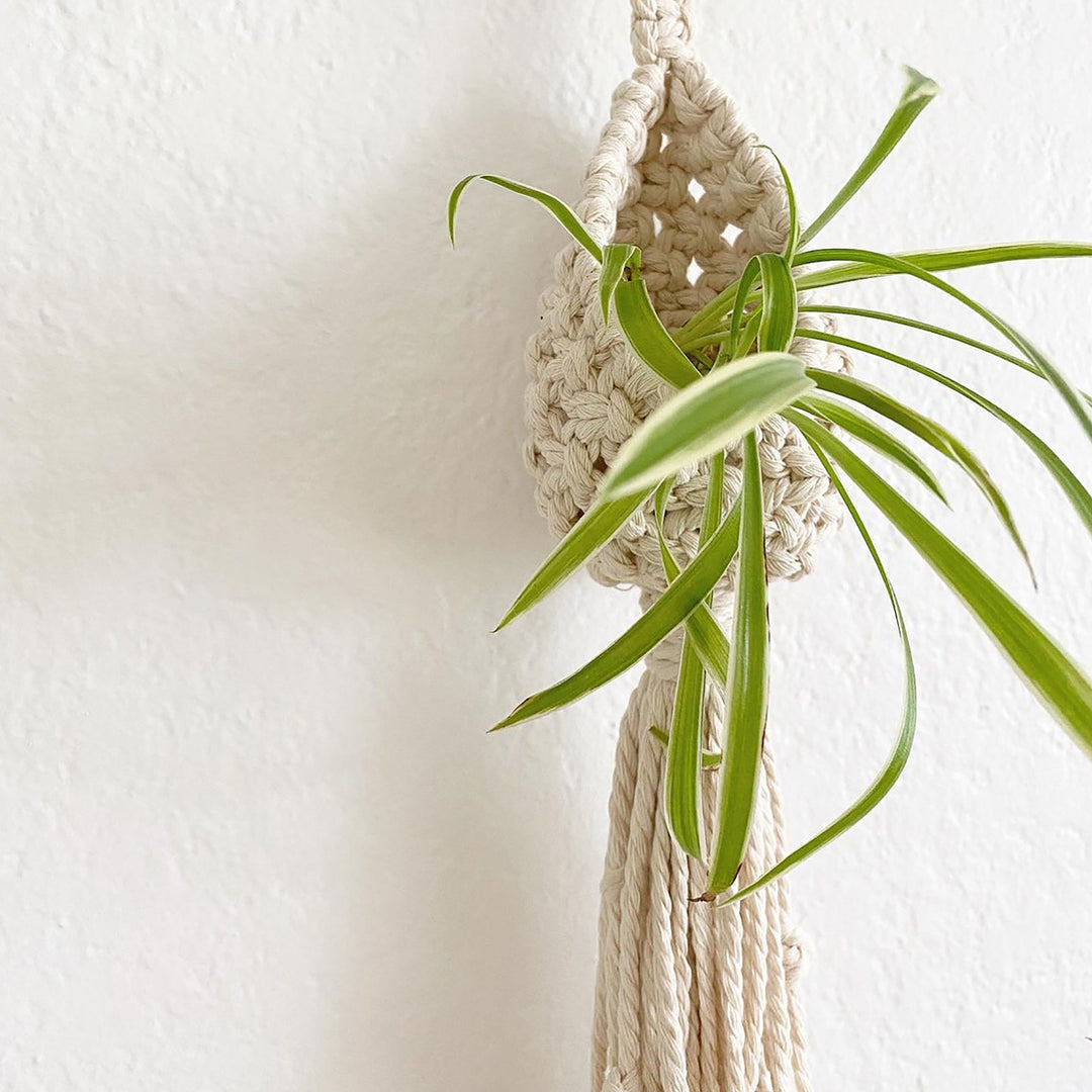Bohemian Plant Holder Kalsten
