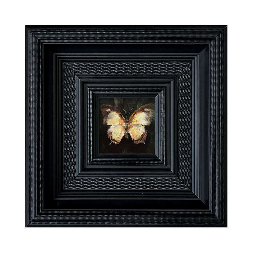 Insect Art Display in Frames
