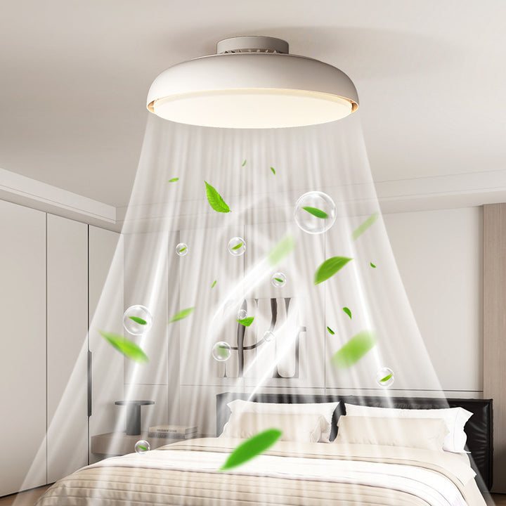 Modern Ceiling Fan with Integrated LED Light