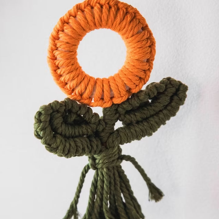 Decorative Macrame Plant Ornament Kalsten