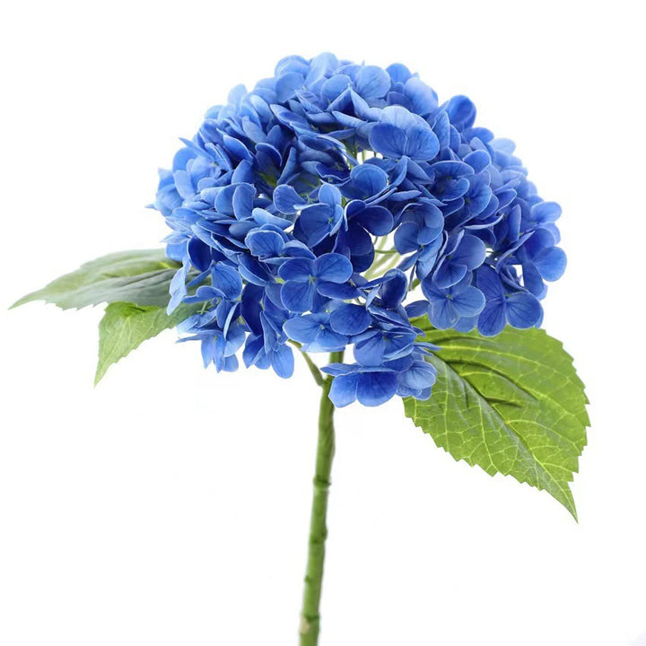 Hydrangea Flower Bouquet