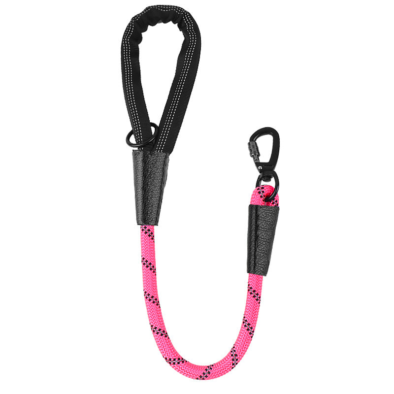 Dog Leash