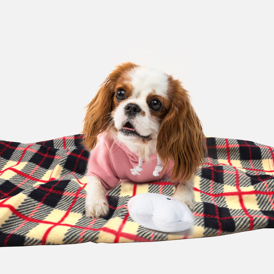 Women's cuddly blanket made of super soft microfiber fabric Kalsten