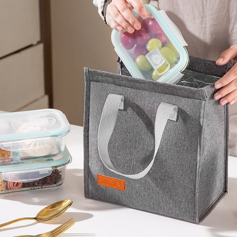 Portable Insulated Lunch Carrier