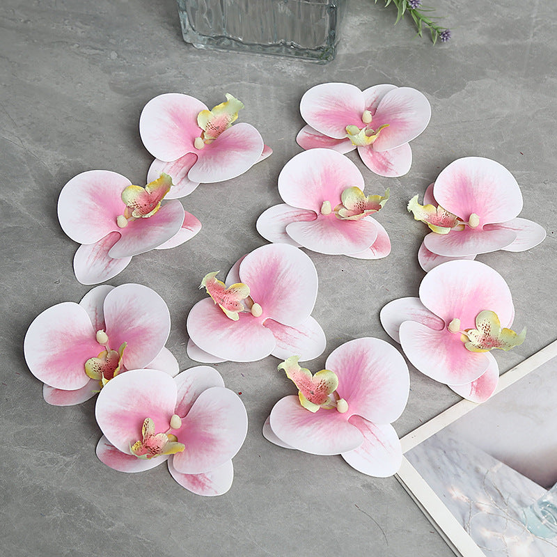 Decorative Orchid Petal for Home Decor Display