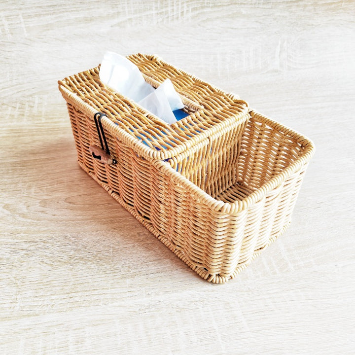 Multi-Compartment Woven Storage Organizer Kalsten