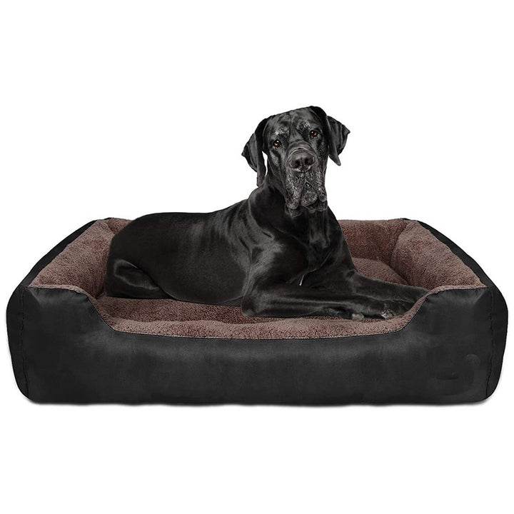 Elevated Orthopedic Dog Bed